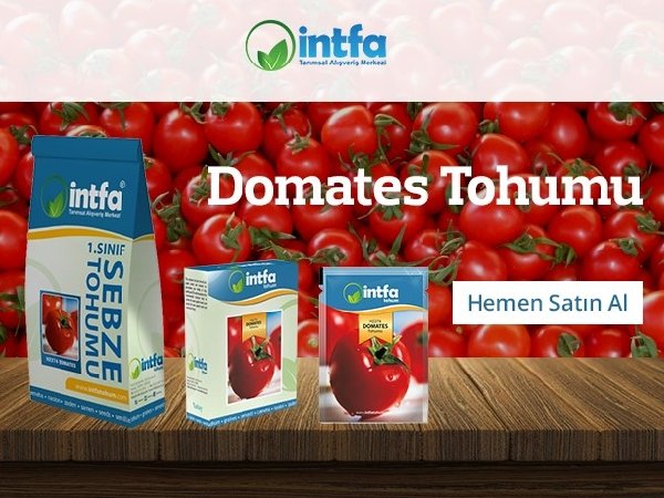 Domates Tepe Alma Domates Tepe Alma