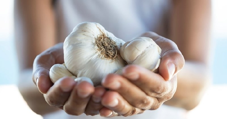 Sarımsak Kokusunu Çıkarmak İçin Mutlaka Yapın! Sarımsak Kokusunu Çıkarmak İçin Mutlaka Yapın!