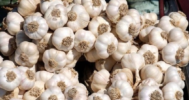 Sarımsak Nasıl Tüketilirse Daha Faydalı Olur? Sarımsak Nasıl Tüketilirse Daha Faydalı Olur?
