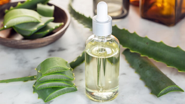 Aloe Vera Yüze Sürülür Mü? Aloe Vera Yüze Sürülür Mü?