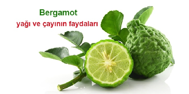 Bergamot Yağı Cilde Nasıl Kullanılır Bergamot Yağı Cilde Nasıl Kullanılır