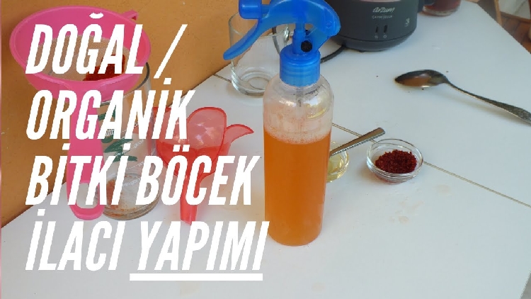 Arap Sabunu Yaprak Bitlerine Karşı Nasıl Kullanılır? Arap Sabunu Yaprak Bitlerine Karşı Nasıl Kullanılır?