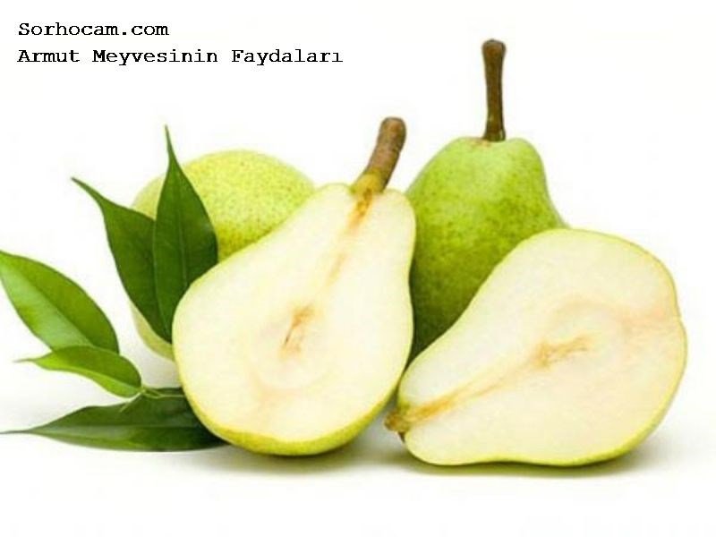 Armut Sirkesinin Faydaları Armut Sirkesinin Faydaları