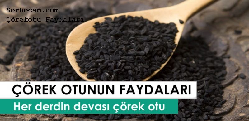 Çörekotu Faydaları ve Zararları Nelerdir? Çörekotu Faydaları ve Zararları Nelerdir?