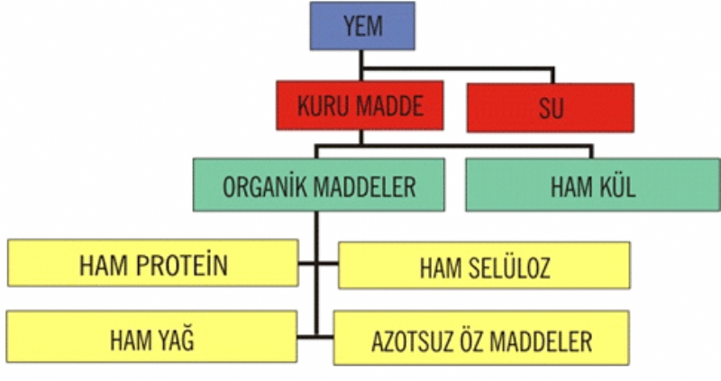 Yemlerde Kül Ve Organik Madde Tayini Analizi Nasıl Yapılır? Yemlerde Kül Ve Organik Madde Tayini Analizi Nasıl Yapılır?