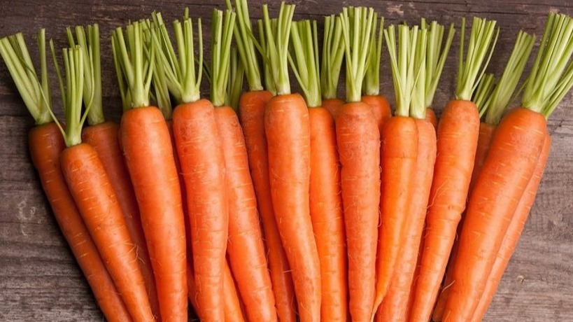 Havuç Nedir, Nasıl Yetiştirilir? | Havuç Ekim, Bakım Ve Hasat Rehberi Havuç Nedir, Nasıl Yetiştirilir? | Havuç Ekim, Bakım Ve Hasat Rehberi