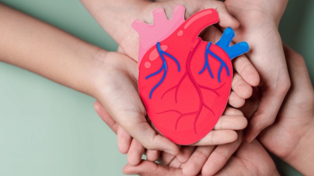 Kolestrol Hastalarının Tüketmesi Gereken Şifalı Bitkiler Nelerdir? Kolestrol Hastalarının Tüketmesi Gereken Şifalı Bitkiler Nelerdir?