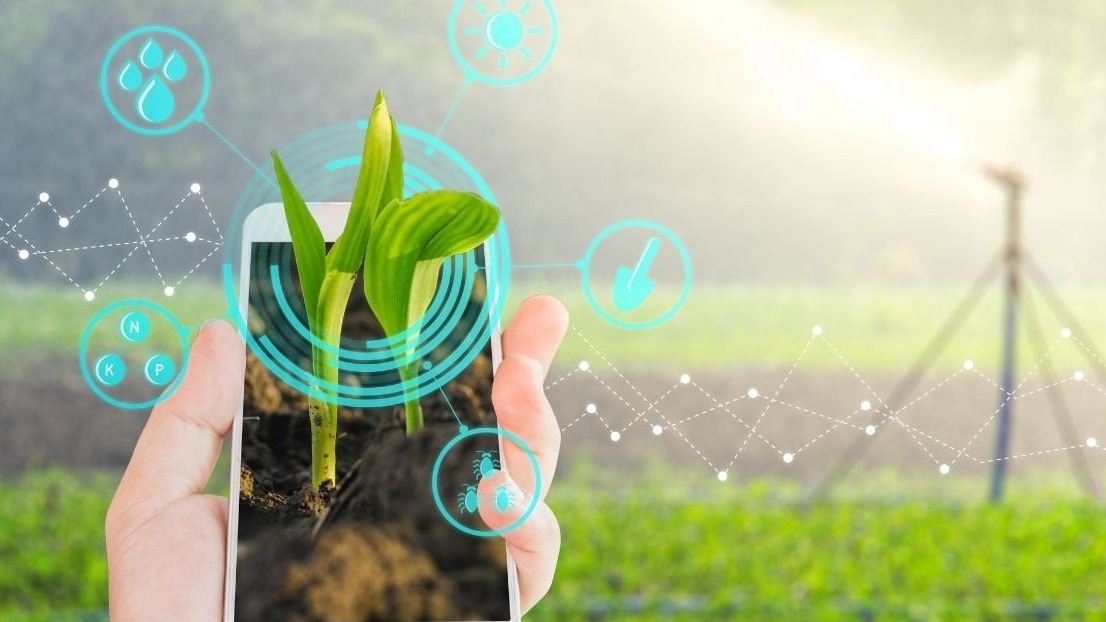 Dijital Tarımın Türkiye’deki Örnekleri Ve Başarı Hikayeleri Dijital Tarımın Türkiye’deki Örnekleri Ve Başarı Hikayeleri