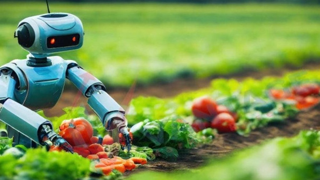 Yapay Zekanın Tarımdaki Rolü: Geleceğin Akıllı Çiftçiliği Yapay Zekanın Tarımdaki Rolü: Geleceğin Akıllı Çiftçiliği