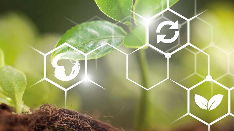 Biyopestisit Türleri Ve Uygulama Teknikleri: Zararlılara Doğal Çözüm Biyopestisit Türleri Ve Uygulama Teknikleri: Zararlılara Doğal Çözüm