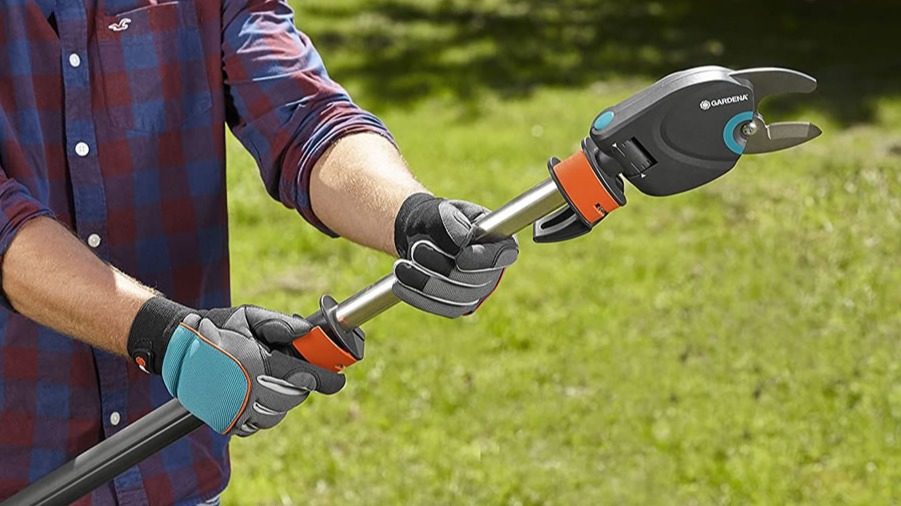 Doğru Budama Araçları Seçimi: Çeşitler Ve Kullanımı Doğru Budama Araçları Seçimi: Çeşitler Ve Kullanımı