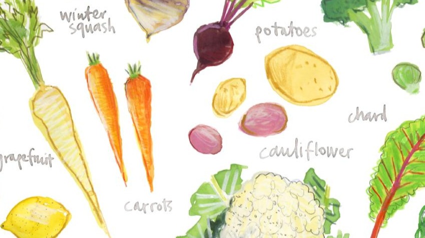 Meyve Ve Sebzelerin Muhafazası Nasıl Olmalıdır?