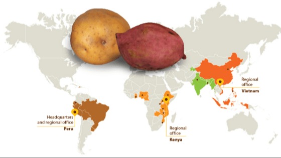 Dünyadaki Gen Merkezleri Nerelerdedir?