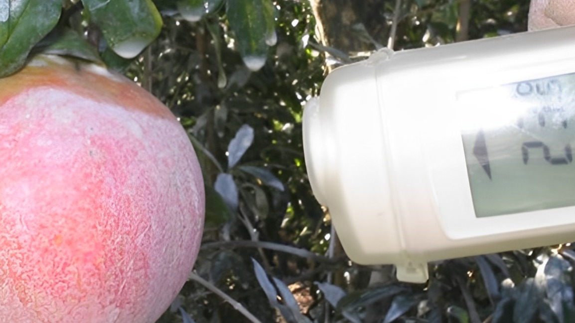 Sıcaklığın Bitki Üzerindeki Olumsuz Etkisi Nelerdir?