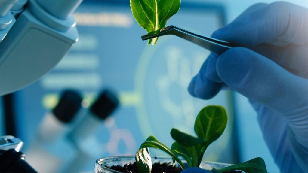 İyi Bir Bitki Islahçısında Olması Gereken Özellikler Nelerdir?