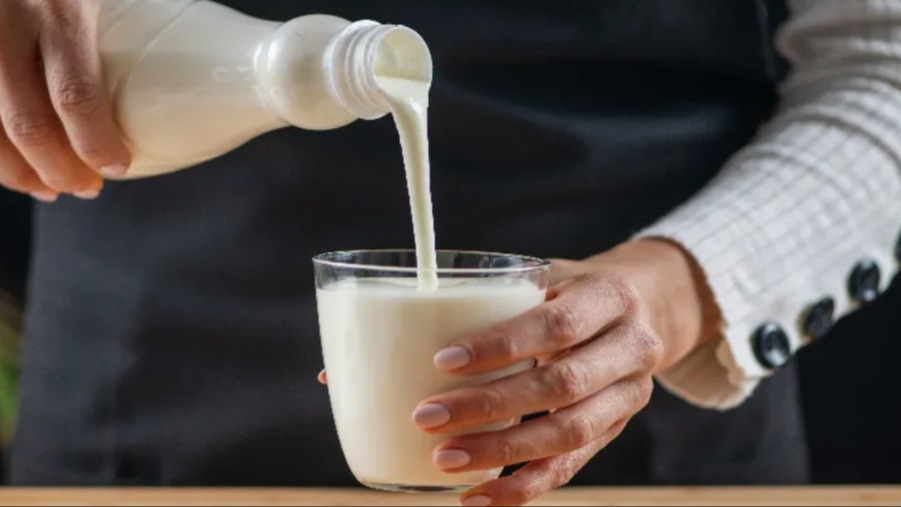 Kefir Faydaları Ve Zararları: Probiyotik İçecekler Kefir Faydaları Ve Zararları: Probiyotik İçecekler