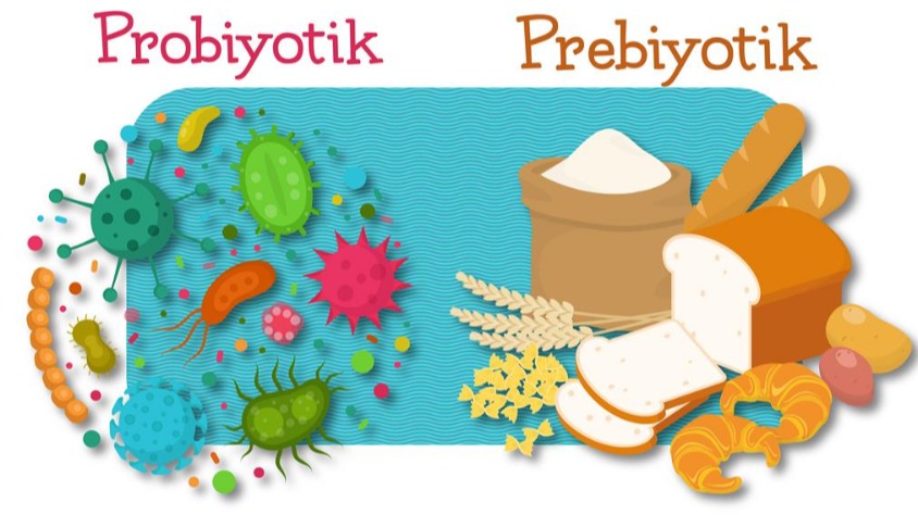 Prebiyotik Şuruplar Ve Tozlar: Sindirim Ve Bağışıklık Destek Prebiyotik Şuruplar Ve Tozlar: Sindirim Ve Bağışıklık Destek