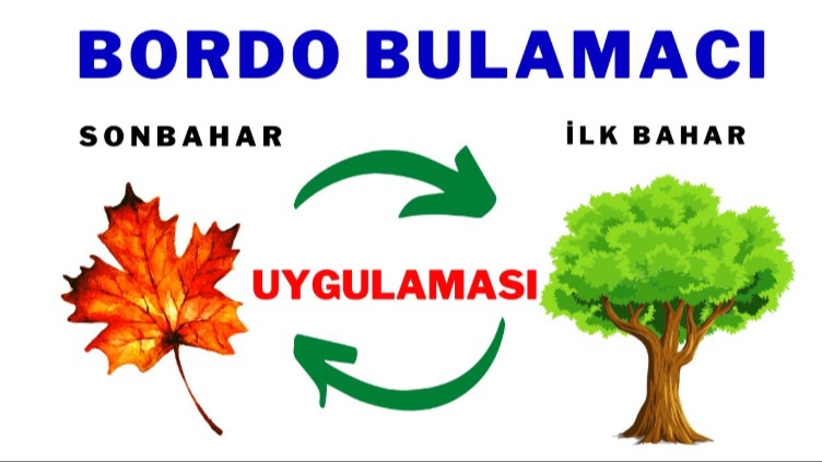 Bordo Bulamacı Hazırlarken Dikkat Etmeniz Gerekenler