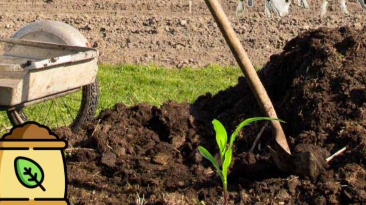 Çiftlik Gübresi Hazırlama Yöntemleri