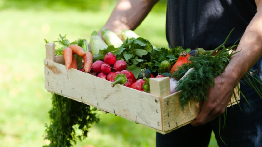 Organik Tarım Nedir Neden Önemlidir?