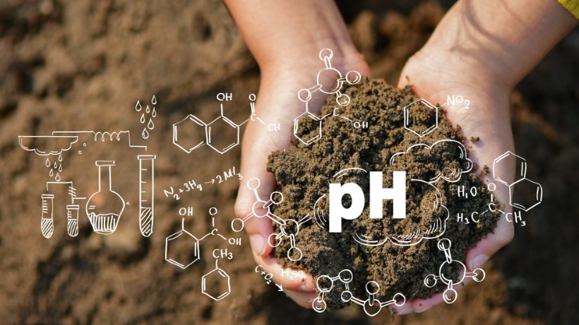 Toprak Ph'sı Nasıl Düşürülür?