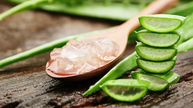 Cilt Sağlığına Faydalı Şifalı Bitkiler Cilt Sağlığına Faydalı Şifalı Bitkiler