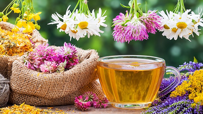 En Popüler Şifalı Bitki Çayları Ve Faydaları En Popüler Şifalı Bitki Çayları Ve Faydaları