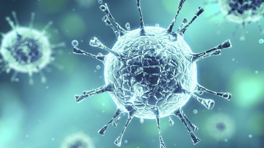 Virüslerin Çoğalması Nasıl Olur?