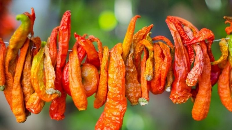 Biber Kurutma İşlemi Nasıl Yapılır?