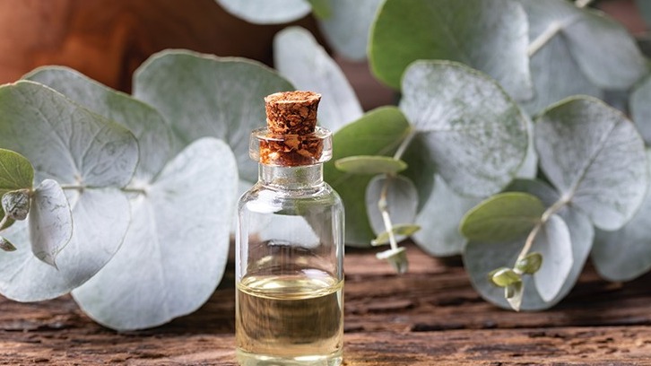 Şifalı Yağların Antiseptik Özellikleri