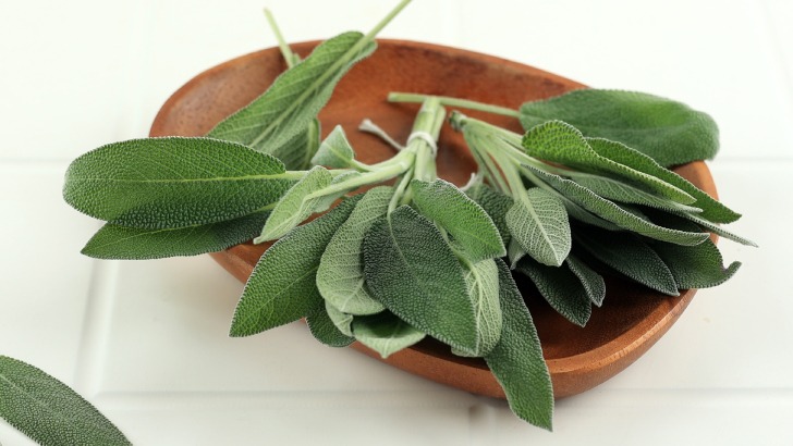 Adaçayı: Antioksidan Ve Anti-inflamatuvar Özellikler Adaçayı: Antioksidan Ve Anti-inflamatuvar Özellikler