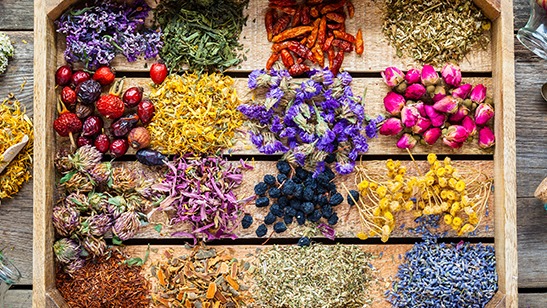 Yorgunluğu Gideren Bitki Çayları Yorgunluğu Gideren Bitki Çayları