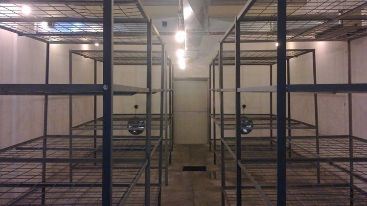 Mantar Yetiştirme Serası Kurulum Rehberi (2025 Güncel) Mantar Yetiştirme Serası Kurulum Rehberi (2025 Güncel)