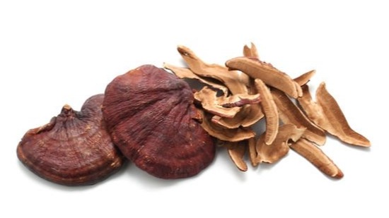 Reishi Mantarı Ve Kanser Üzerine Bilimsel Çalışmalar Reishi Mantarı Ve Kanser Üzerine Bilimsel Çalışmalar