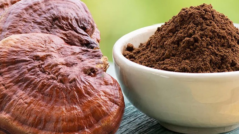 Reishi Mantarının Takviye Formları Nelerdir? Reishi Mantarının Takviye Formları Nelerdir?