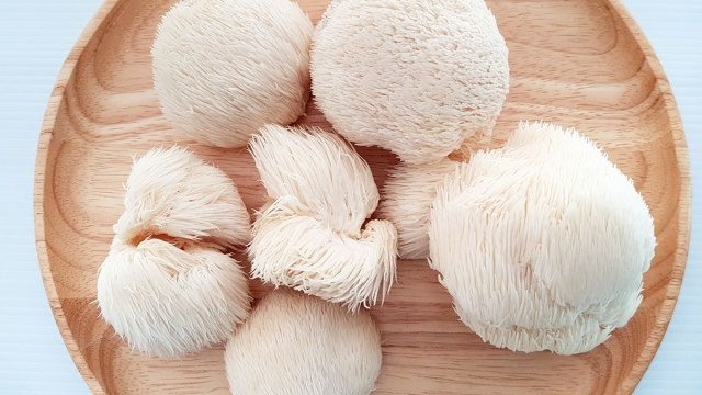 Lion’s Mane (Hericium Erinaceus) Aslan Yelesi Mantarı Lion’s Mane (Hericium Erinaceus - Aslan Yelesi Mantarı)