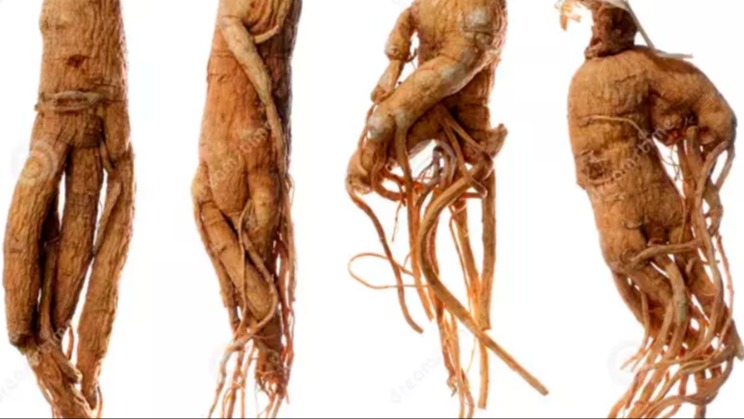 Cinselliğe İyi Geldiği Düşünülen Bitkiler Afrodizyak Etkili