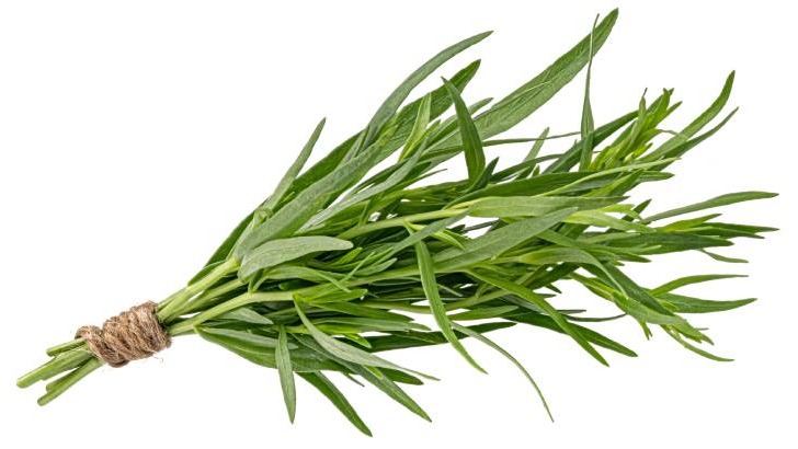 Tarhun Çayı Faydaları Ve Zararları Nelerdir?