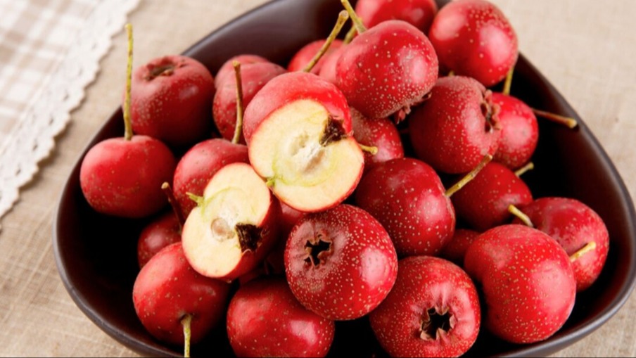 Alıç Meyvesi Faydaları Ve Zararları | Yemişen Meyvesi Sağlık Rehberi Alıç Meyvesi Faydaları Ve Zararları | Yemişen Meyvesi Sağlık Rehberi