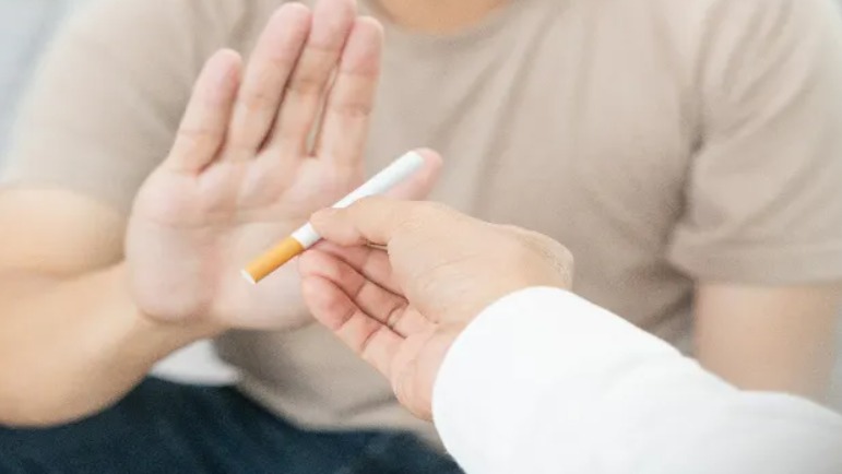 Sigarayı Bırakma Sürecini Destekleyen Bitkiler Nelerdir? Sigarayı Bırakma Sürecini Destekleyen Bitkiler Nelerdir?