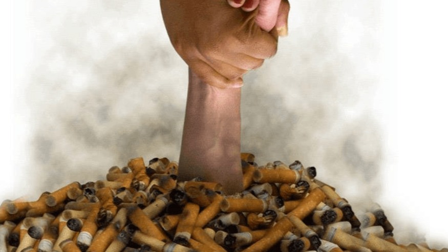 Sigarayı Bırakmayı Destekleyen Sebze Ve Meyveler Nelerdir? Sigarayı Bırakmayı Destekleyen Sebze Ve Meyveler Nelerdir?