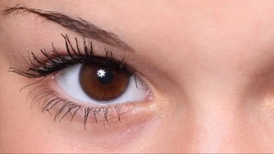 Göz Sağlığına İyi Gelen Şifalı Bitkiler Nelerdir? Göz Sağlığına İyi Gelen Şifalı Bitkiler Nelerdir?