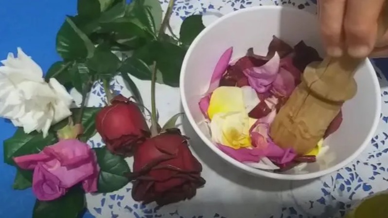 Yağlık Gül Yetiştiriciliği Nasıl Yapılır?