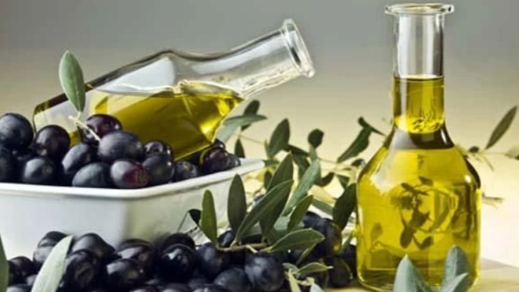 Kaliteli Ve Karlı Zeytinciliğin Püf Noktaları Nelerdir?