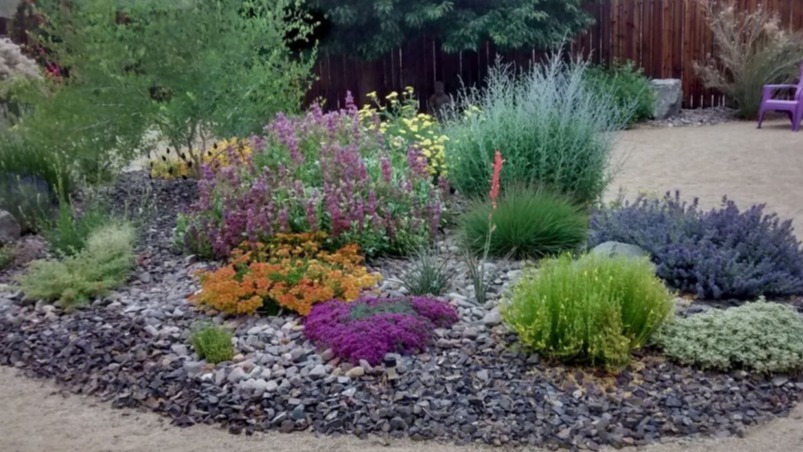 Çiçeklerin Peyzajda Kullanımı Nasıl Olmalıdır?