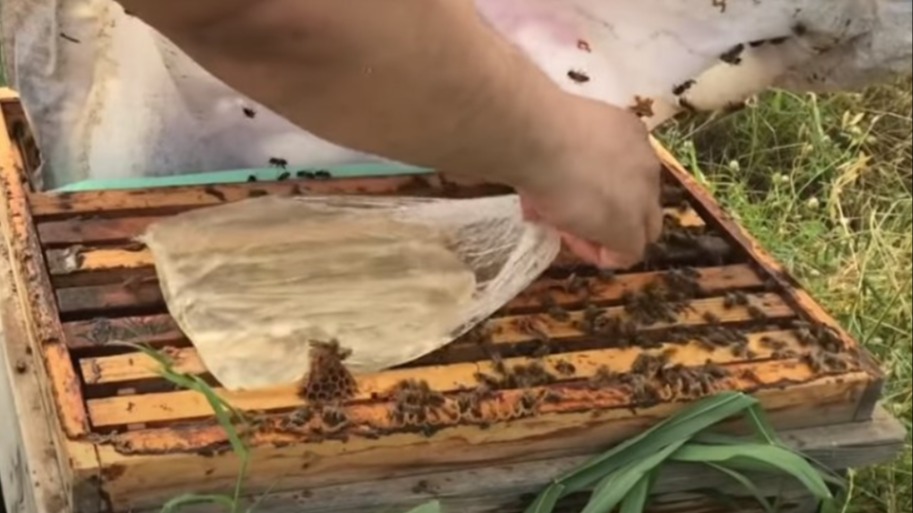 Kış Beslemesi Nedir? Arılar İçin En İyi Kış Besleme Yöntemleri