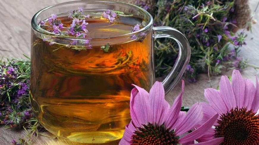 Ekinezya Çayının Faydaları Ve Zararları Nelerdir?