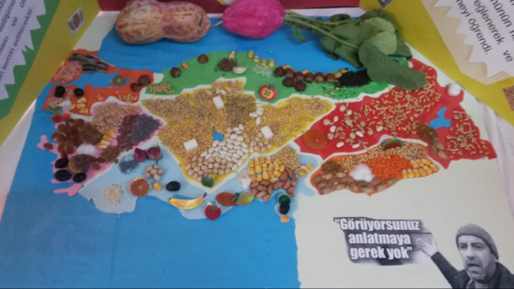 Türkiye'de Yetiştirilen Meyveler Nelerdir? Türkiye'de Yetiştirilen Meyveler Nelerdir?