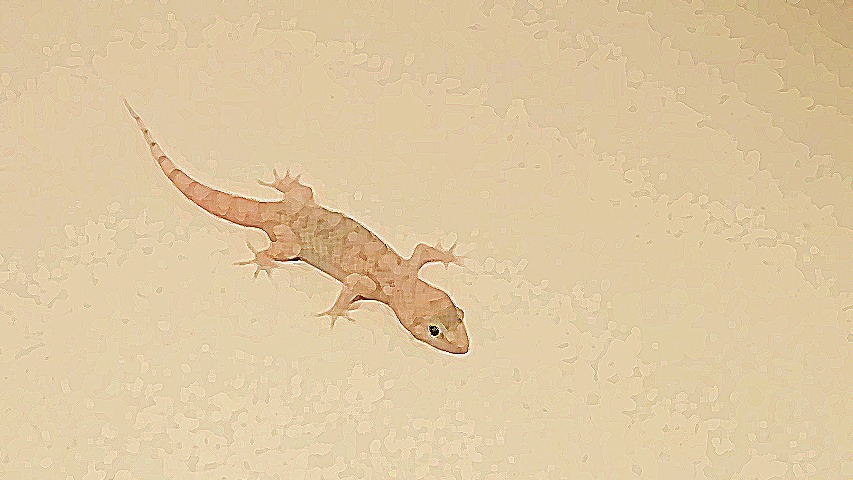 Evde Kertenkele Görmek Ne Anlama Gelir?