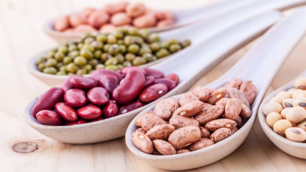 Fasulye Çeşitleri Nelerdir? Fasulye Çeşitleri Nelerdir?